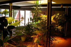 atrium